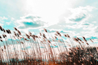 Oktyabrın ilk gününə gözlənilən hava proqnozu