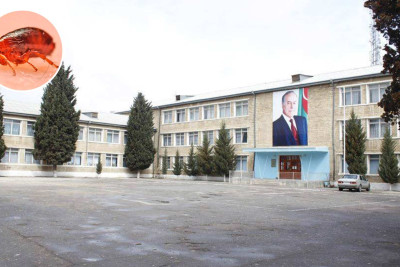 Sumqayıtda məktəbi bit-birə basıb - İDDİA - YENİLƏNİB