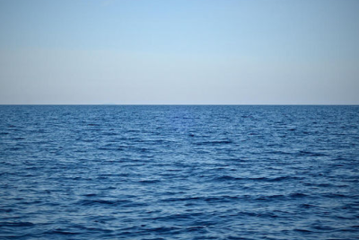 İdarə rəisi: “Xəzərin suyu təmizlənir”