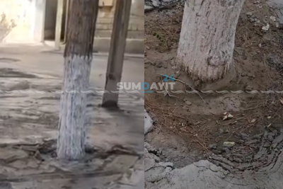 Sumqayıt24 yazdı, İcra hakimiyyəti hərəkətə keçdi