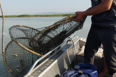Qanunsuz ov edən şəhər sakini cəzalandırıldı