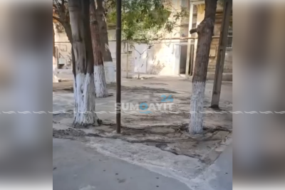 Sumqayıtda təbiətə ziyan vurulur