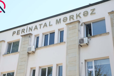 “Bizim kimi uşaq həsrəti ilə yaşayan ailələrə sevinc bəxş edir...”  - FOTOLAR