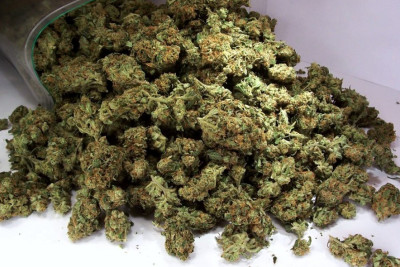 Keçmiş məhkumda marixuana aşkarlanıb