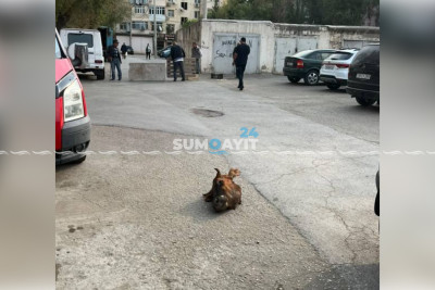 34-cü məhəllədən “mənzərə”