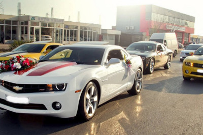 NİİM-dən toy karvanlarına müraciət