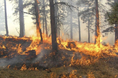 “Ekosid” edənlərin həbsi məsələsi birinci oxunuşda təsdiqlənib