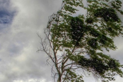 Sabah hava necə olacaq? - PROQNOZ