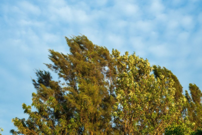 Sabah hava küləkli olacaq