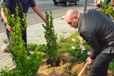 Sumqayıt xəstəxanasının ərazisi yaşıllaşdırılıb