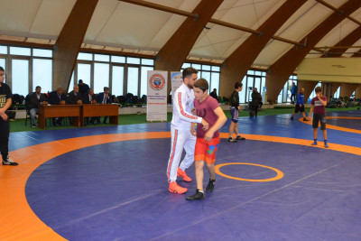 Güləş peşəkarlarından Sumqayıtda ustad dərsi