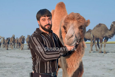 Dəvəsi ilə məşhurlaşan heyvansevər: “Onu satın almaq istəyən çox olub, bütün təklifləri rədd etmişəm” – ÖZƏL MÜSAHİBƏ