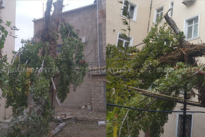 Sumqayıtda küləyin fəsadları aradan qaldırılmır