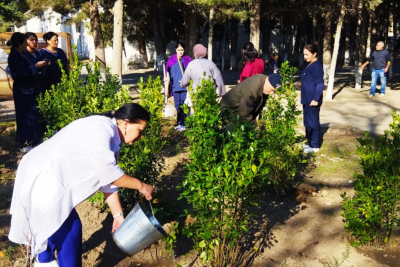 Sumqayıtda xəstəxananın ərazisi yaşıllaşdırılıb