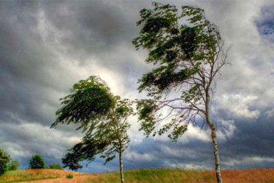 Küləkli hava şəraiti ilə bağlı narıncı XƏBƏRDARLIQ