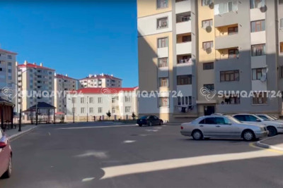 Su, işıq, nəqliyyat, sahibsiz itlər - Şəfəq sakinlərinin ŞİKAYƏTİ