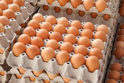 Yumurtanın qiyməti bahalaşıb