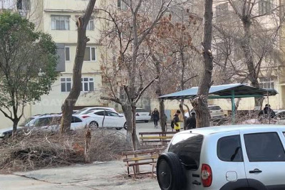 Yaşıllaşdırma İdarəsinin biganəliyi - FOTO