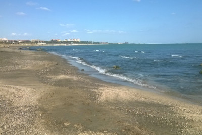 Sumqayıtda körpə meyiti tapılıb
