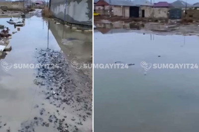 Bataqlığa çevrilən “Yaşıldərə”nin küçəsi - VİDEO