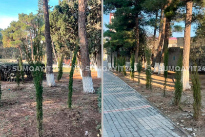 "Bələdiyyə parkı" yaşıllaşdırılıb