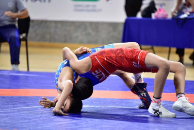 Güləş üzrə Sumqayıt birinciliyi təşkil olunacaq