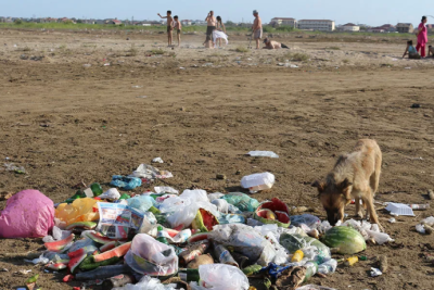 Sumqayıt sahili bu qiymətə təmizlənəcək