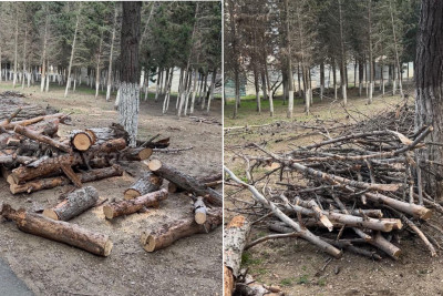 “Nəsimi” parkı məhv edilir - VİDEO