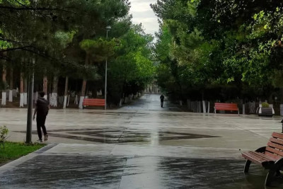 “Nəsimi” parkında yeni ağaclar əkiləcək - AÇIQLAMA