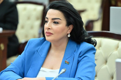 Deputat: “Heyvan qidaları vergidən azad olunsun”