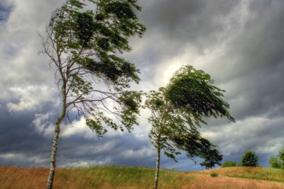 Hazırda külək əsir - Faktiki hava