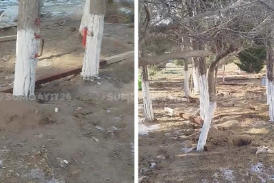 Nəsimi parkında ərazi hasarlanır, yaşıllıq məhv ediləcək? - VİDEO