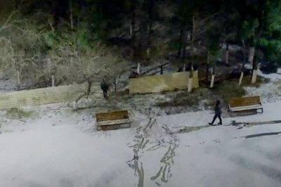 Sumqayıtdakı parkda ağaclar kəsilir? - Açıqlama - Video