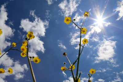 İlaxır çərşənbədə 28 dərəcə isti olacaq