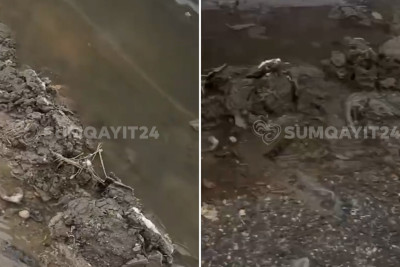 “Corat Bağları”nda küçə çirkab sularına qərq olur