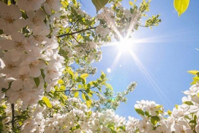 Aprelin havası necə olacaq?