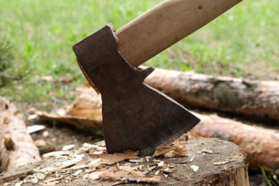 Tağıyev qəsəbəsində təbiətə ziyan vuranlar cinayət məsuliyyətinə cəlb olundu