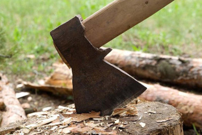 Çerkassı küçəsində ağac qətliamı