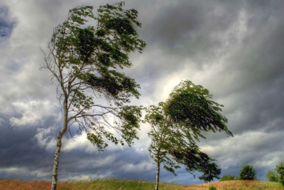 Hazırda külək əsir - FAKTİKİ HAVA