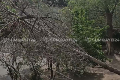 Sumqayıtda qarın fəsadları aradan qaldırılmayıb - BİGANƏLİK