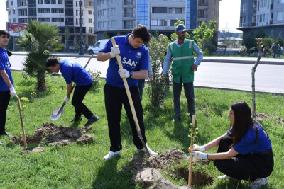 Sumqayıtın giriş hissəsi yaşıllaşdırıldı