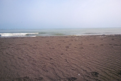 Mavi Xəzərin səviyyəsi yüksələcək - ALİMDƏN PROQNOZ