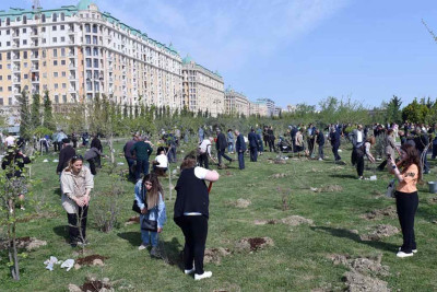 Sumqayıtın yaşıllaşdırılmasına 300 MİN MANAT XƏRCLƏNƏCƏK