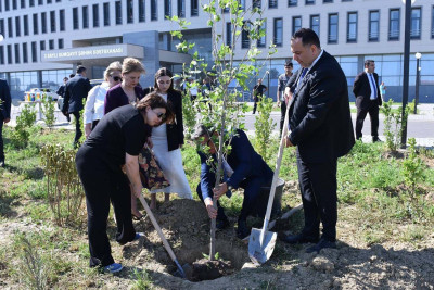 Sumqayıtda xəstəxananın həyətyanı sahəsi yaşıllaşdırılıb