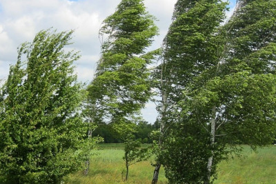Qeyri-sabit hava şəraiti nə vaxtadək davam edəcək?