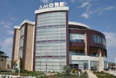 Məşhur restoranda ağac qətliamı