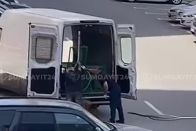 Saraya “İT OVÇULARI” gəlib - VİDEO