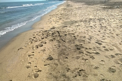 Çimərliklərində gözlənilən hava