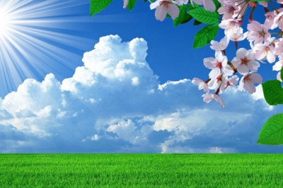 Azərbaycana yay gəldi! 