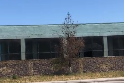 Sarayda sahibkar ağacları qəsdən qurudur? - İDDİA - VİDEO